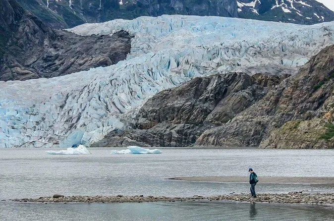 Walbeobachtung & Mendenhall-Gletscher-Kombi